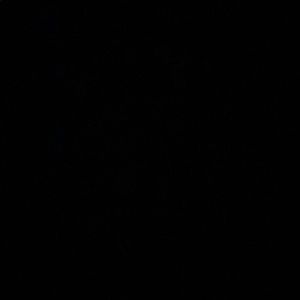 Meet your Posher, Rosemary